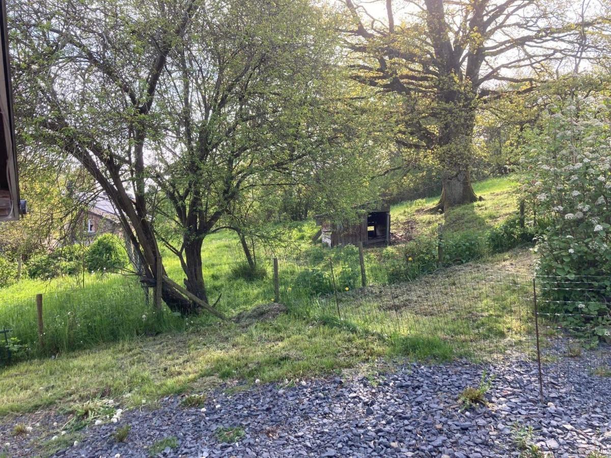 Au Panier Ardennais Gouvy Exteriér fotografie